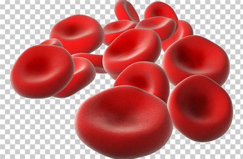 White Blood Cells Clipart Check out inspiring examples of white blood ...