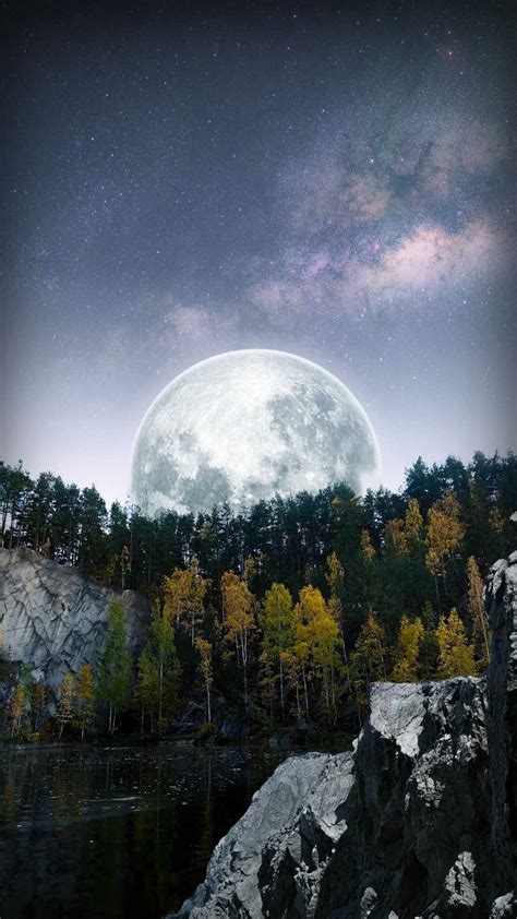 Big Moon Forest IPhone Wallpaper - IPhone Wallpapers : iPhone ...