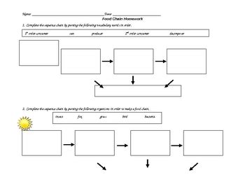 Food Chain Worksheet by PurplePanda | Teachers Pay Teachers