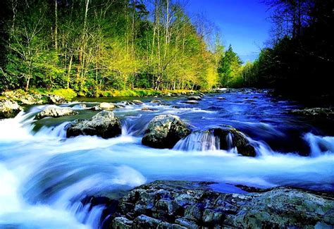 Download "Blue River - A Picture of Serenity and Nature's Beauty ...