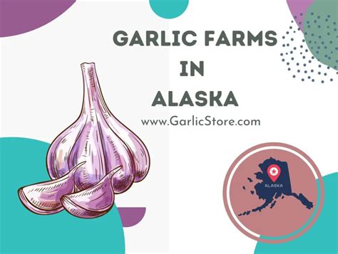 Garlic Farms - Garlic Store