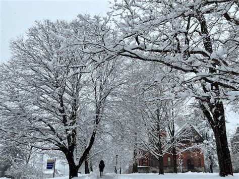 See how much snow fell in Upstate NY’s first widespread snow storm of ...