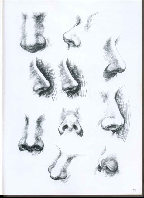 The Nose - Drawing Faces and Figures - Joshua Nava Arts