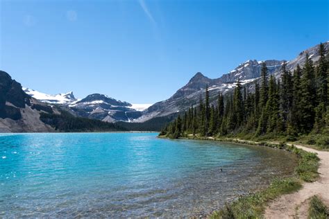 15 Things to Know BEFORE Visiting Bow Lake in Banff (Alberta)