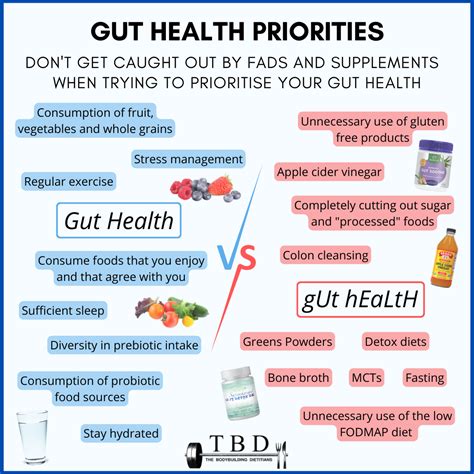 How To Improve Your Gut Health (AVOID THESE FADS) — The Bodybuilding ...