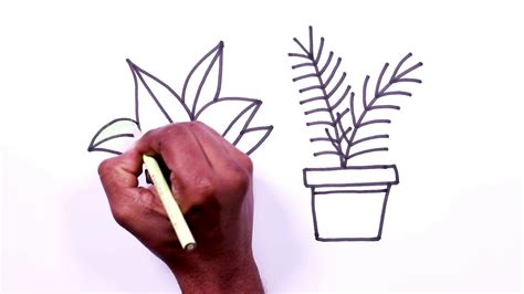 Cute Plants To Draw Easy How to draw a water lily and pad