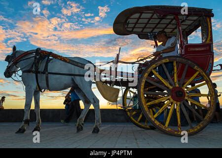 Horse and carriage on Roxas Boulevarde, Manila, Philippines Stock Photo ...