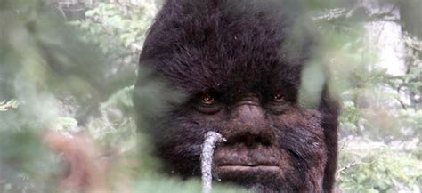 Discovering Bigfoot Is a Bigfoot Documentary Made by a Bigfoot Hoaxer ...