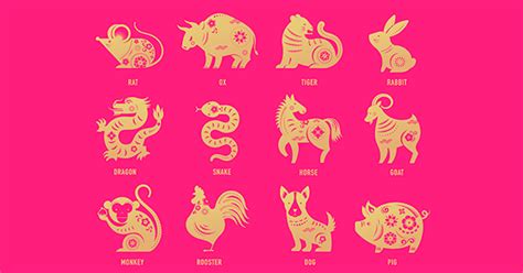 Chinese Zodiac Elements: Know Yours and Its Meaning for 2024