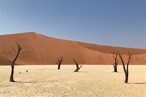 11 Things To Do In The Namib Desert in 2023