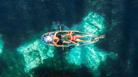 Silver Springs: Clear Kayak Wildlife Tour