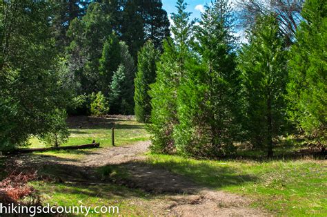 Doane Valley Nature Trail (Palomar Mountain State Park) - Hiking San ...