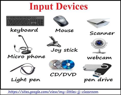 computer devices | Input devices, Computer knowledge, Computer