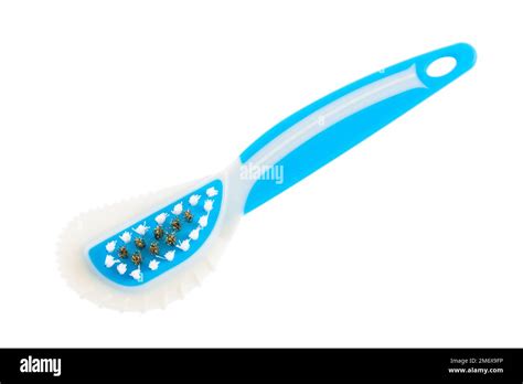 brush for suede shoe isolated Stock Photo - Alamy