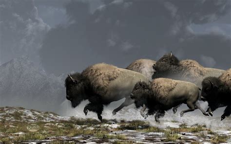 “Bison Stampede by *deskridge ” | Wildlife | Pinterest | Buffalo ...