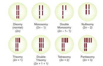 Double Trisomy