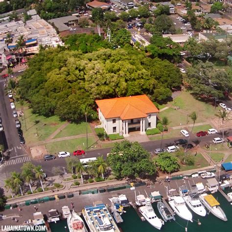 Lahaina Banyan Court Park - Biggest Banyan Tree in Maui, Hawaii