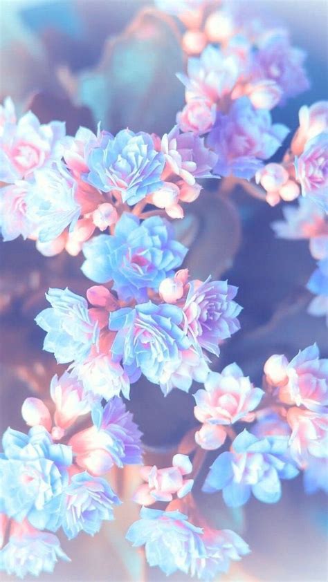 🔥 Download Pink Blue Flowers Blurred Background Spring Wallpaper For ...