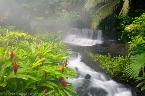 Tabacon Hot Spring Resort , Costa Rica | Photos by Ron Niebrugge