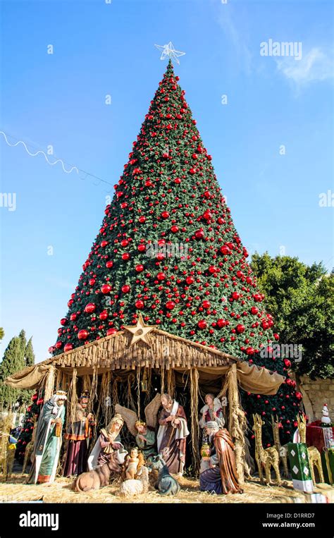 Christmas tree on the square of Bethlehem, Palestine Stock Photo - Alamy