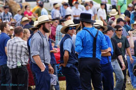 ~ Sarah's County Kitchen ~ Five Troyer Amish males at an Auction near ...