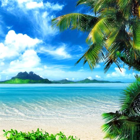 Tropical Beach Screensavers and Wallpaper - WallpaperSafari