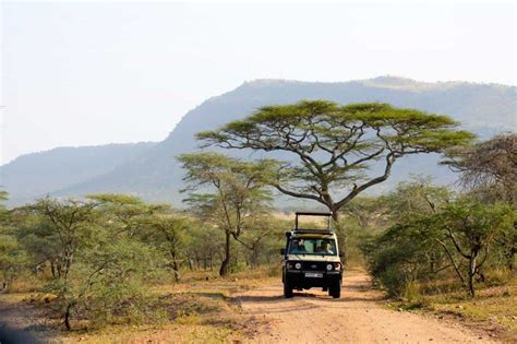 Safari Serengeti National Park Tour | Ngorongoro Crater Safari ...