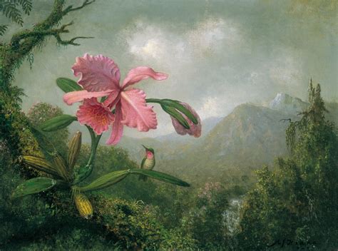 TROPICALIZER: Martin Johnson Heade // Orchids and Hummingbirds