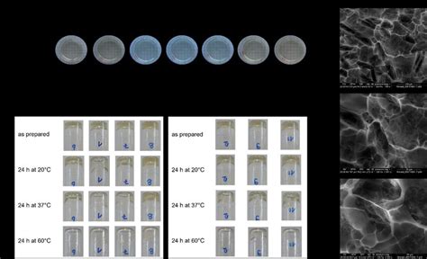 Hydrogel physical properties. (A) Stability of the 4% (w/v) hydrogel ...