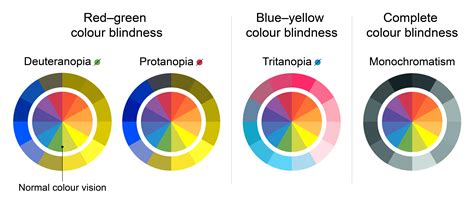 Year Coherent Do tritanopia color blindness plug tube Tariff