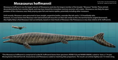 #mosasaurus | Explore mosasaurus on DeviantArt