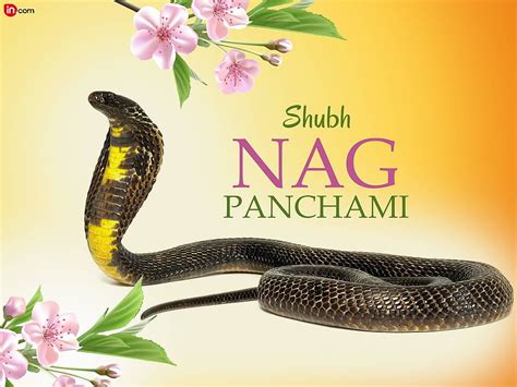 Top Nag Panchami Gogo Maharaj and, goga maharaj HD wallpaper | Pxfuel