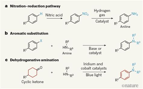 Reactions for making widely used aniline compounds break norms of synthesis