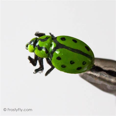 Realistic Green Ladybug Fly - FrostyFly | Realistic, Ladybug, Flying