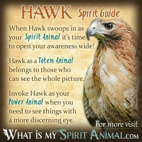 Hawk Spirit Animal, Spirit Animal Totem, Animal Spirit Guides, Your ...