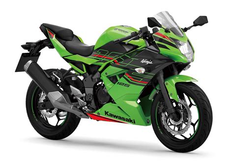 Kawasaki Ninja 2024 2024 - Jorie Melanie