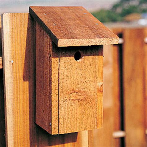 Build a better birdhouse - Sunset Magazine