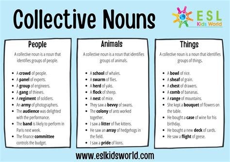 Collective Nouns Examples - Nehru Memorial