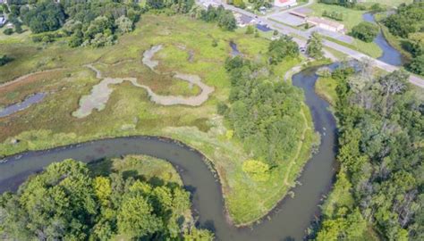 Finger Lakes Museum to host February programs, revamps wetland property ...