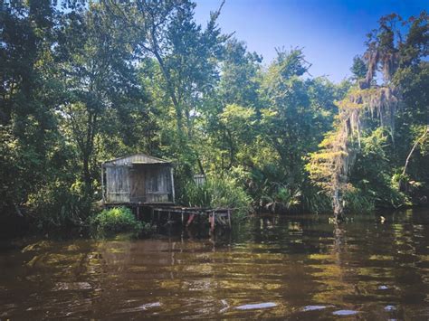 Jean Lafitte Swamp Tours • Journey Along Things To Do In Louisiana ...