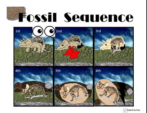 Fossil Formation Sequence from Inspired by Evan Autism Resources - YouTube