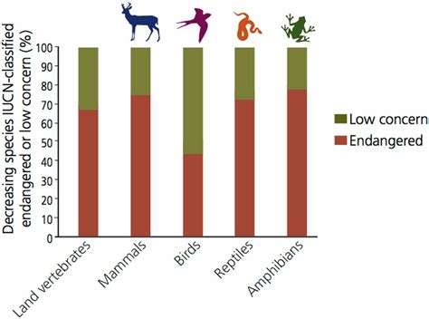 Environment-A sixth mass extinction is underway !!! - UPSCTREE