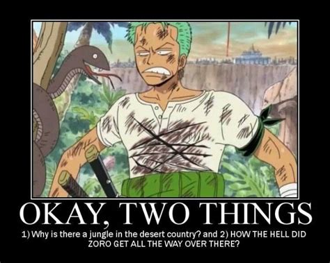 Oh, Zoro, how do you get so lost? XD | Memes, One piece, One piece comic