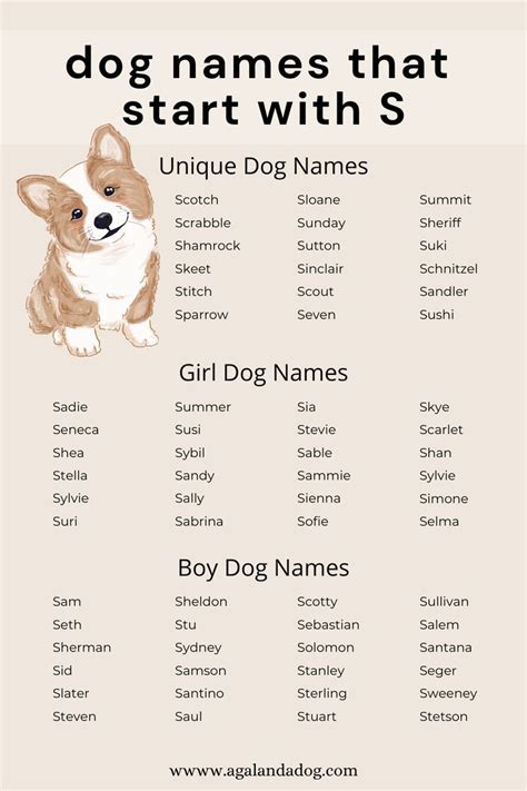 List of dog names that start with S. Cute Adopt Me Pet Names, Pet Names ...