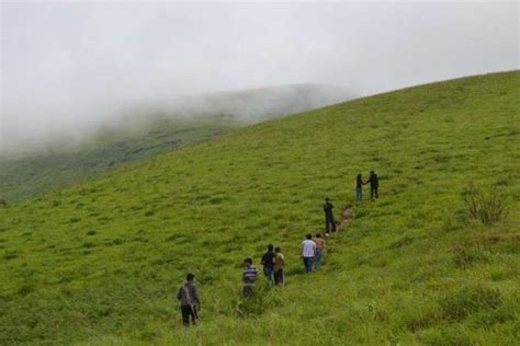 Trekking In Coorg: 15 Trails For An Adventurous Trip In 2023!