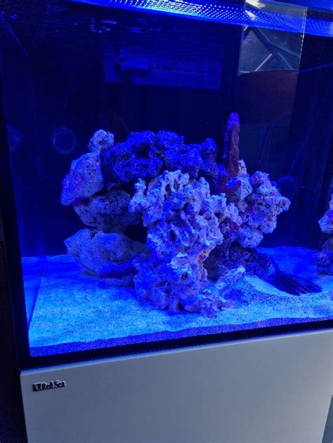 Red Sea Reefer XL 200 | Page 4 | Ultimate Reef