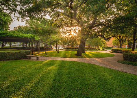 Amerika'da University of Texas At Arlington Hakkında