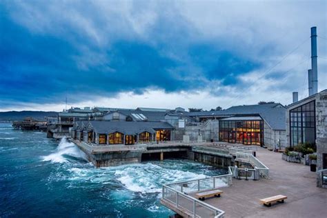 Monterey Bay Aquarium - Fresh Flower Delivery or a Day at the Aquarium