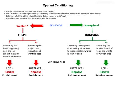 Chapter 2 - Operant Conditioning Diagram | Quizlet