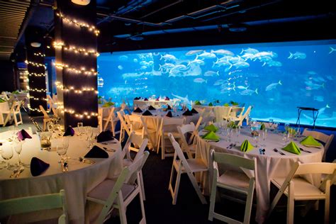 North Carolina Aquarium at Pine Knoll Shores | Reception Venues - The Knot